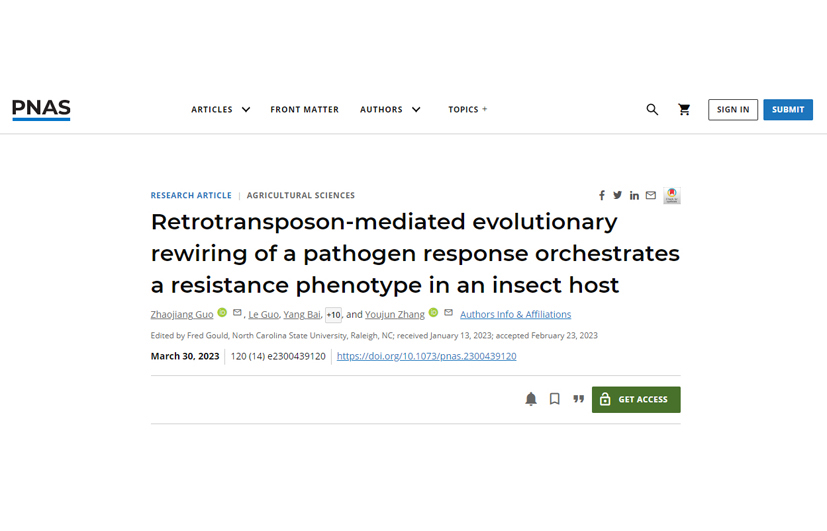 The Vegetable Pest Control Innovation Team reveals the genetic regulatory network mechanism underlying the Bt resistance of Plutella xylostella