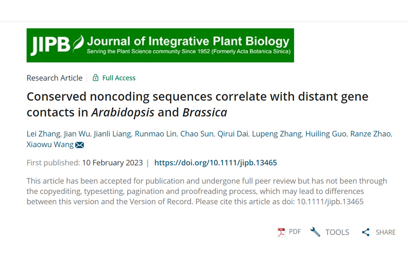 Researchers found a new mechanism of conserved non-coding sequences participating in long-range gene interactions in plants