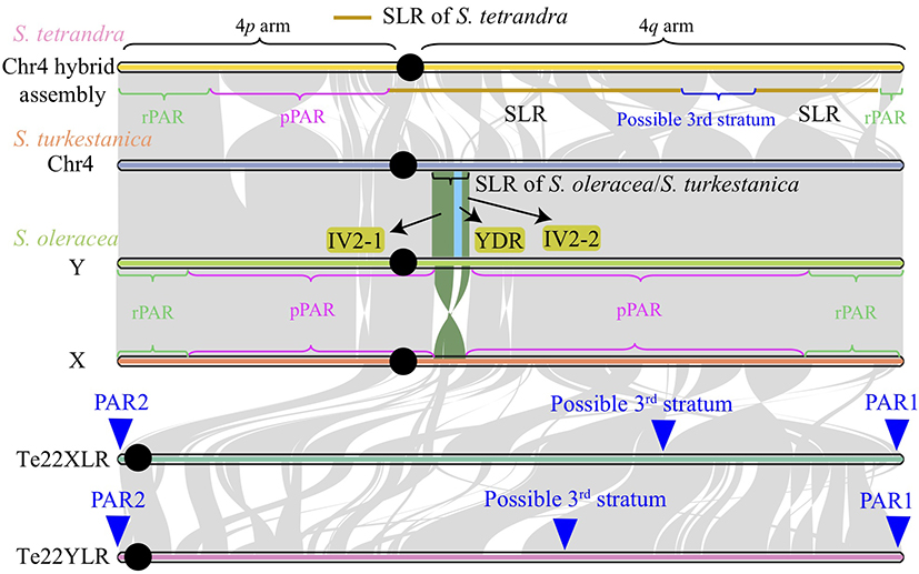 Figure 2.jpg