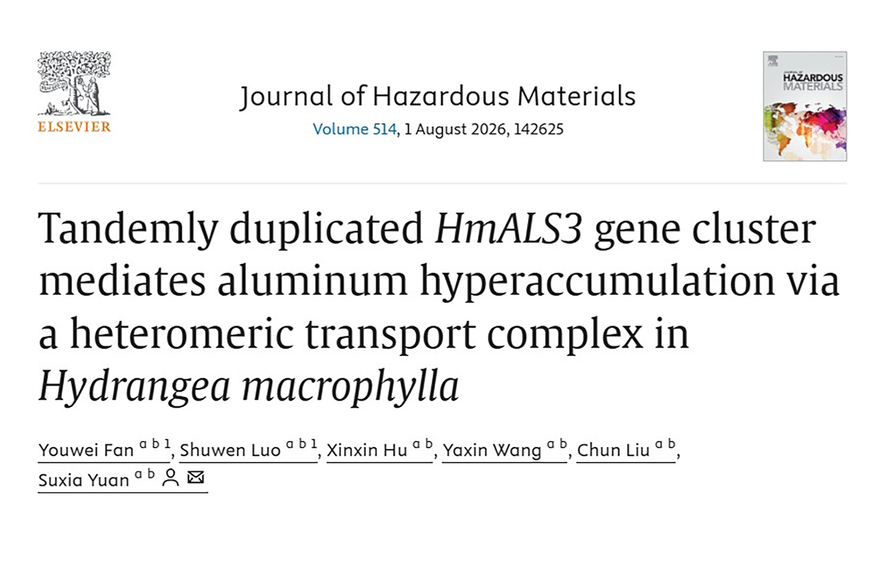 JHM | Research Progress: Flower Cultivation Research Group at the Institute of Vegetables and Flowers Reveals the Molecular Mechanism of Aluminum Hyperaccumulation in Hydrangea