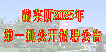 2025年第一次公开招聘