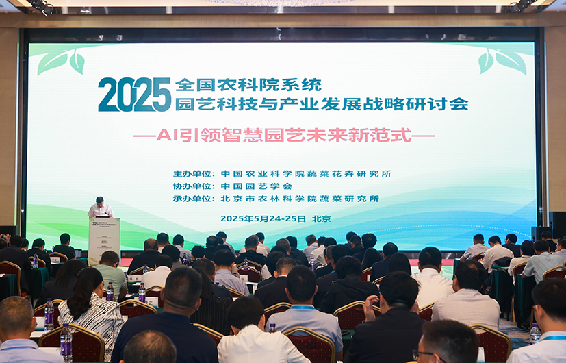 1-大会现场.jpg