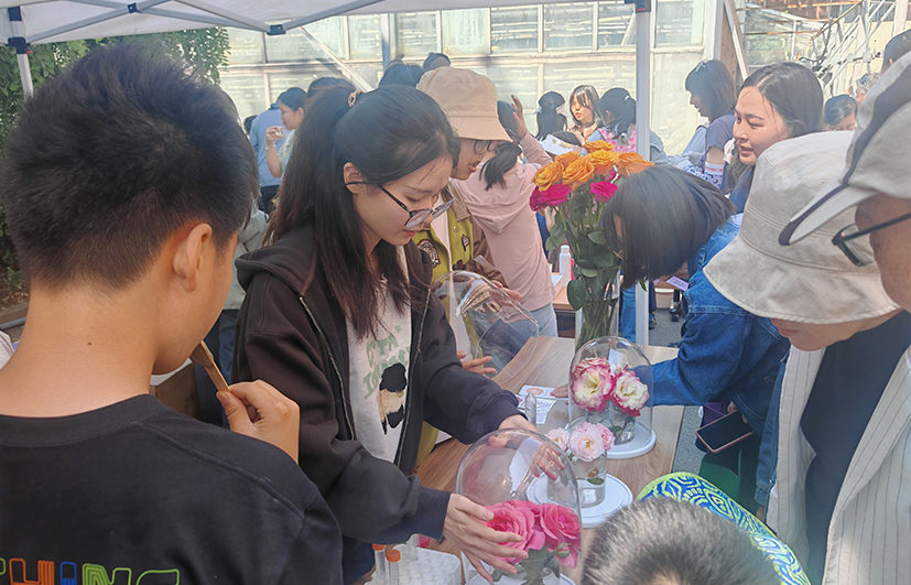 14.花卉种苗.jpg