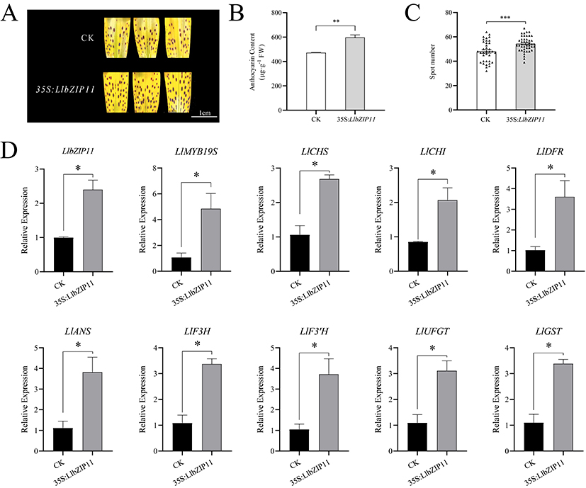 Fig.7.jpg