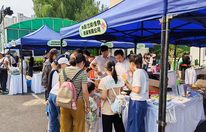 6中蔬兰陵.jpg