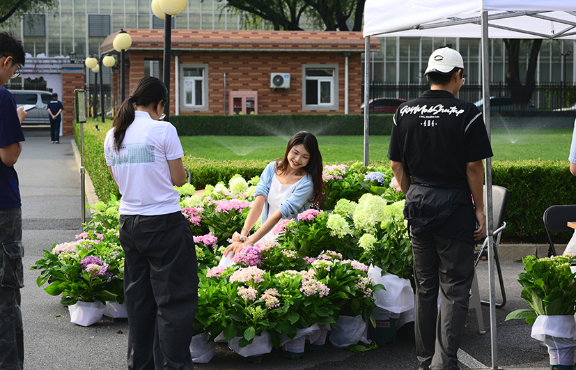 17花卉栽培.JPG