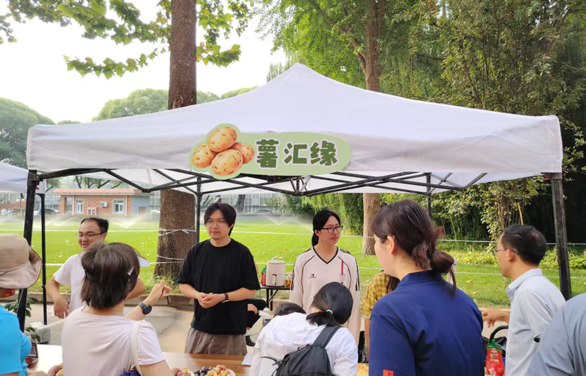 7马铃薯.jpg